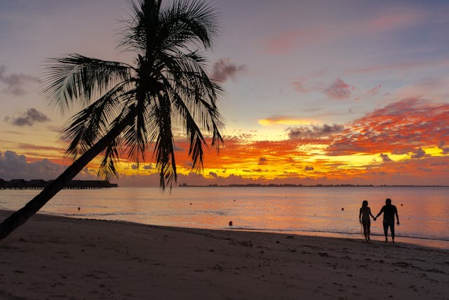 Couple on Honeymoon Honeymooners walking on a beach at sunset